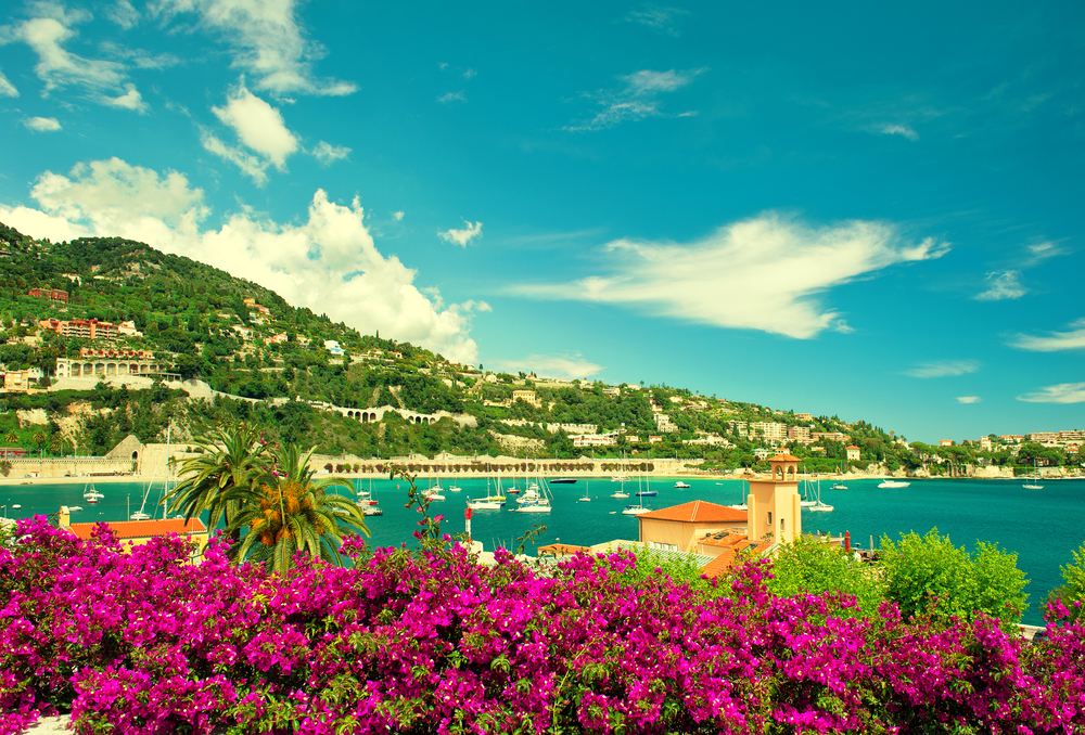 View of the French Riviera with purple flowers